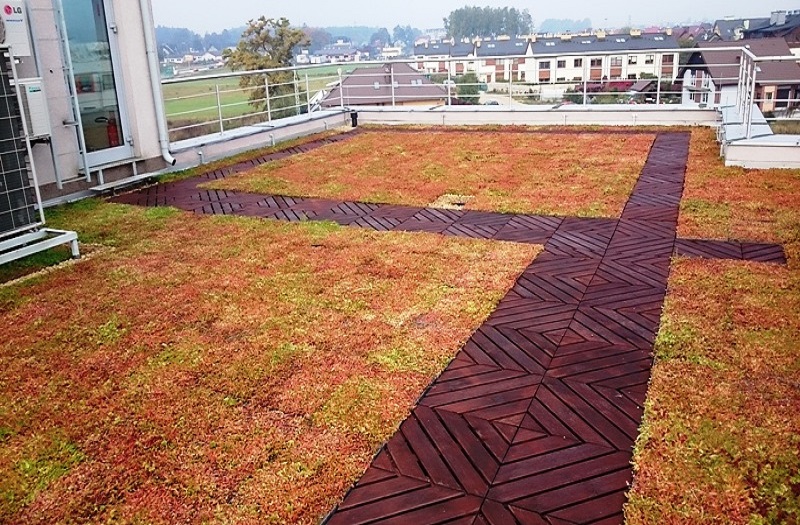 Taras na dachu z systemem EcoSedumPack