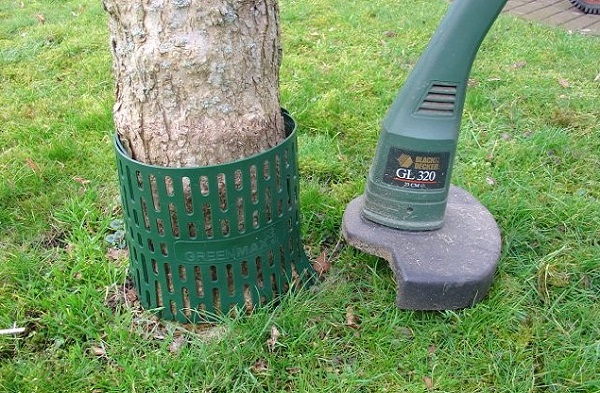 Ochrona pnia TreeProtect